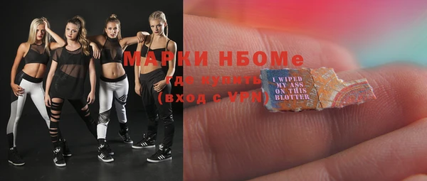 хмурый Арсеньев
