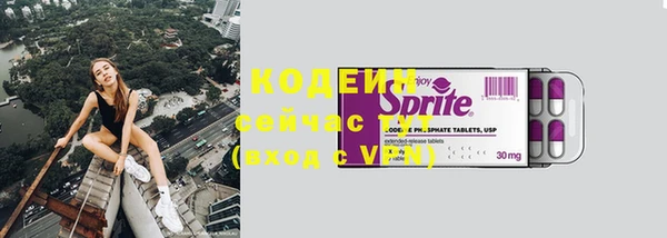 хмурый Арсеньев