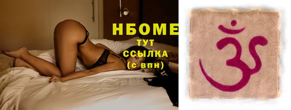 хмурый Арсеньев
