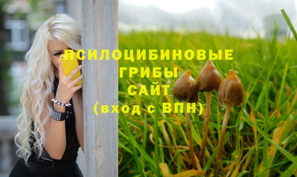хмурый Арсеньев